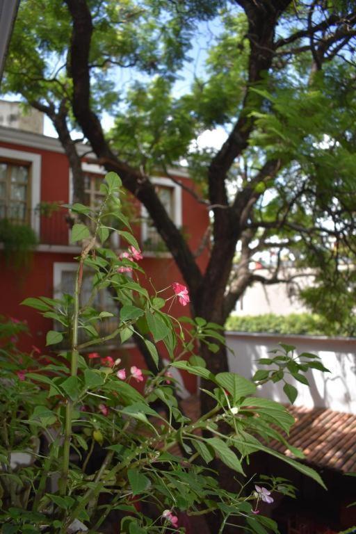 Hotel Ana Catalina And Suites San Miguel de Allende Exteriör bild